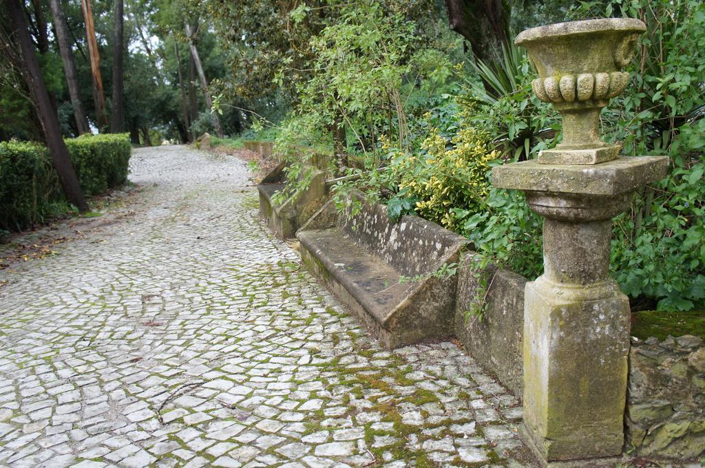 Quinta Do Convento Otel Vila Verde dos Francos Dış mekan fotoğraf