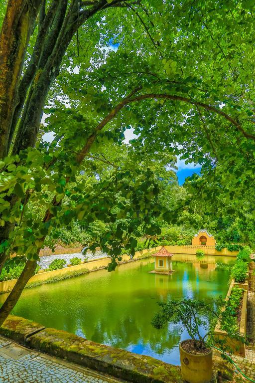 Quinta Do Convento Otel Vila Verde dos Francos Dış mekan fotoğraf